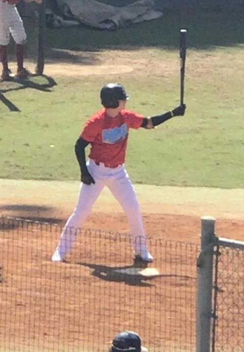 mike procissi hit dawgs baseball mike procissi hit dawgs baseball