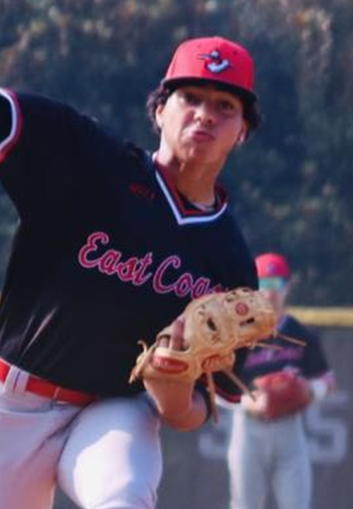 Rba 360 Gold Perfect Game Baseball Association