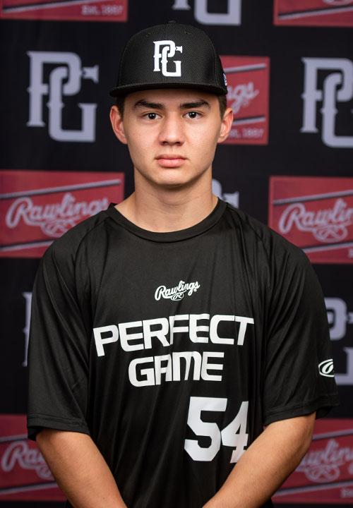 mike procissi hit dawgs baseball mike procissi hit dawgs baseball