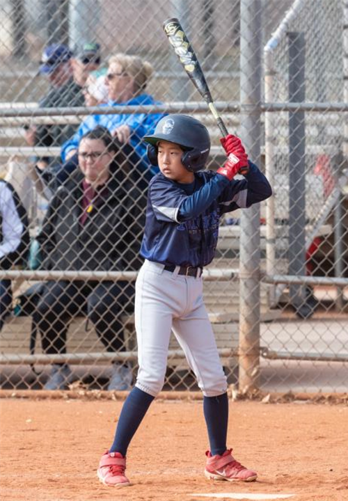 Lomita Little League > Home